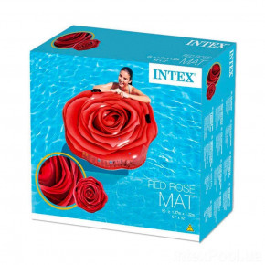   Intex  (58783) 8