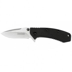  Kershaw Cryo G10 (1555G10) 3