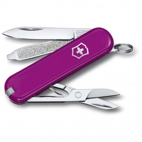   Victorinox Classic SD Colors Tasty Grape 58  7   (0.6223.52G)