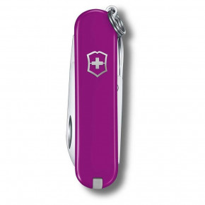   Victorinox Classic SD Colors Tasty Grape 58  7   (0.6223.52G) 4