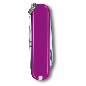   Victorinox Classic SD Colors Tasty Grape 58  7   (0.6223.52G) 6