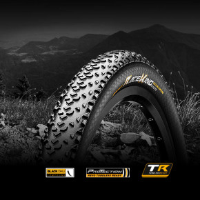   Continental Race King ProTection 27.5 | 27.5 x 2.20 , , skin 3