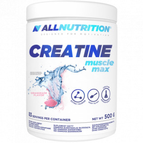  All Nutrition Creatine Muscle Max 500g Orange 100-59-7195756-20