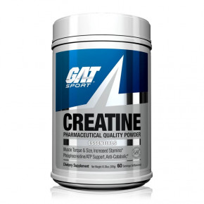   GAT Creatine Monohydrate 300  