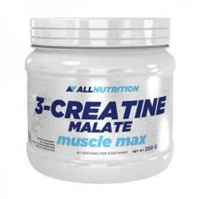  AllNutrition 3-Creatine malate, 250g 