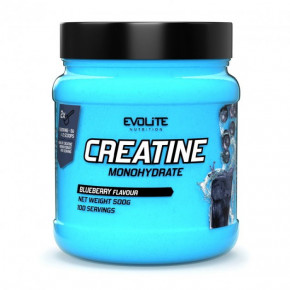  Evolite Nutrition Creatine Monohydrate 500 g blueberry