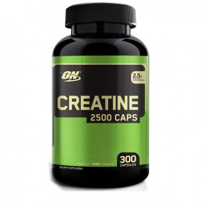  Optimum Nutrition USA Creatine 2500 300  