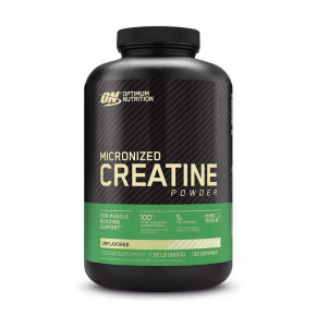  Optimum Nutrition Creatine 600 g unflavored