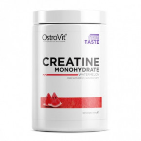  OstroVit Creatine 500g 