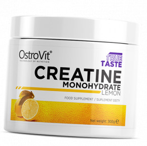  Ostrovit Creatine Monohydrate 300  (31250008)