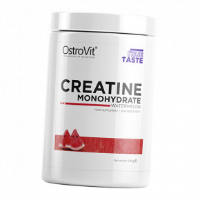  Ostrovit Creatine Monohydrate 500  (31250008)