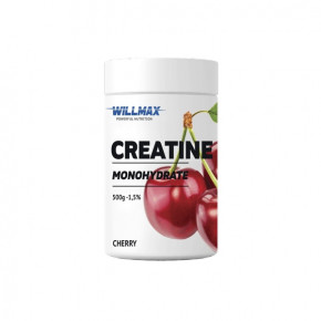   Willmax Creatine Monohydrate 500  