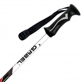   Gabel Speed Black/Red 110 (7008140101100) 3