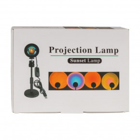  Projection Lamp Floor WZ891  5