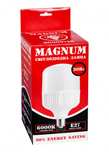   Magnum BL 80 30w E27 6000K   3