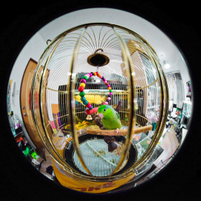  Laowa 4mm f/2.8 Fuji X Circular Fisheye VE428FX 9