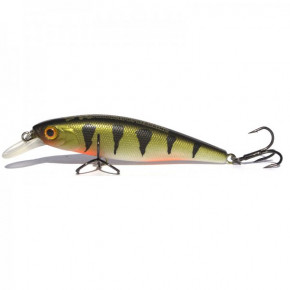  Bearking Squad Minnow 65SP  H