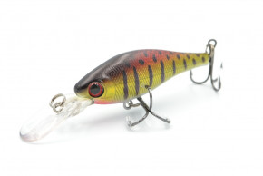  Worgen Minnow M515 6  7.5  81 (4101515281)