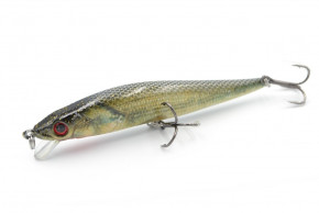  Worgen Minnow M590 10  9.8  408 (4101590408)