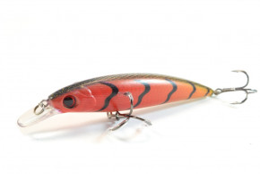  Worgen Minnow M600 10  14.3  62 (4101600262)