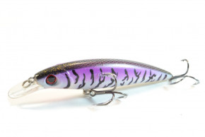  Worgen Minnow M600 10  14.3  68 (4101600268)