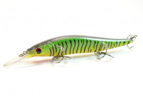  Worgen Minnow M817 11  16  64 (4101817264)