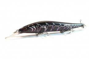  Worgen Minnow M817 11  16  74 (4101817274)