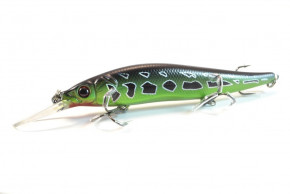  Worgen Minnow M817 11  16  76 (4101817276)