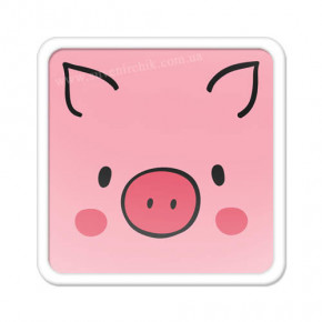    MA_PIG019