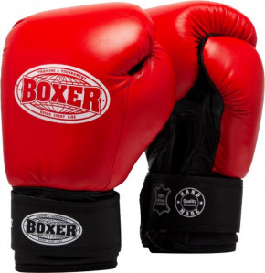   Boxer  (2023-04R)