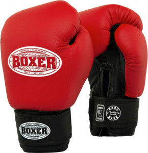   Boxer  (2024-04R)