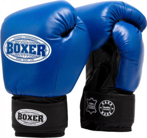   Boxer  (2023-04B)