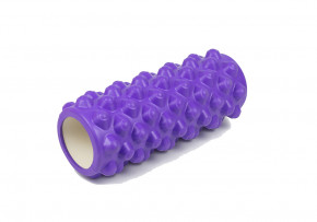   EasyFit Grid Roller Extreme 33  