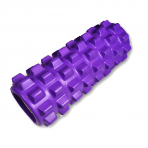   EasyFit Grid Roller Pro 33  