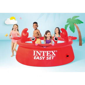    Intex (31396) 4