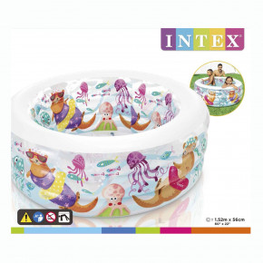  Intex  318  152-56  (58480) 6