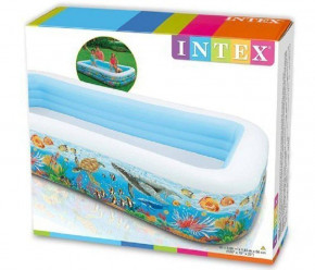    Intex 58485-1  , 305  183  56 ,   10  11