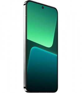  Xiaomi 13 12/256GB Flora Green  5