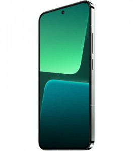  Xiaomi 13 12/256GB Flora Green  6