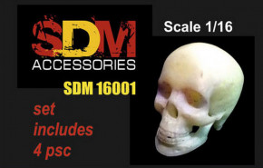   .  , 4 . DAN models (DAN-SDM16001)