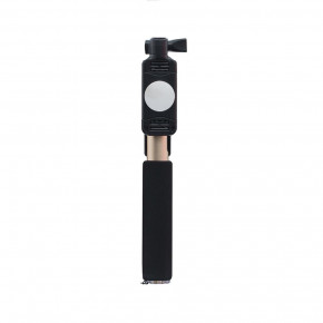  Monopod Remax RP-P4  4