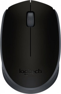  Wireless Logitech M171 (910-004424) Grey/Black USB