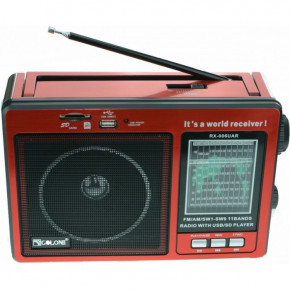  Golon RX-006UAR Usb FM  (55500255)