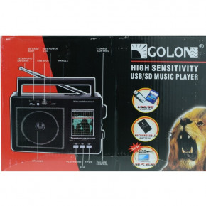  Golon RX-006UAR Usb FM  (55500255) 6