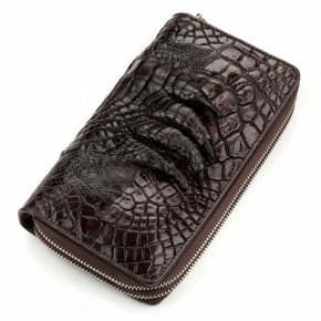      Crocodile Leather 18173