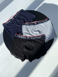  Tommy Hilfiger (3 ) (237170244350)