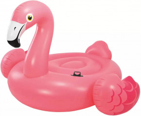     INTEX Flamingo 57558NP (57558NP)