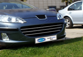     Omsaline Peugeot 407 SD/SW 2004-2010 3 (5704081)