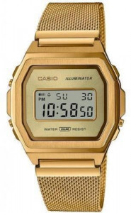   Casio A1000MG-9EF