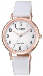   Citizen EM0579-14A